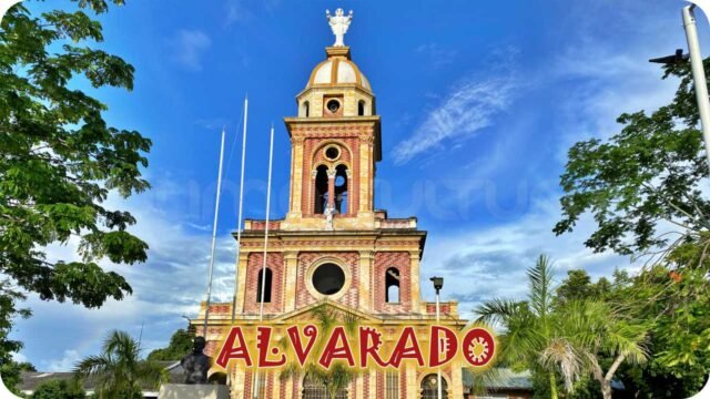 1Boton Alvarado - Tolima Cultural